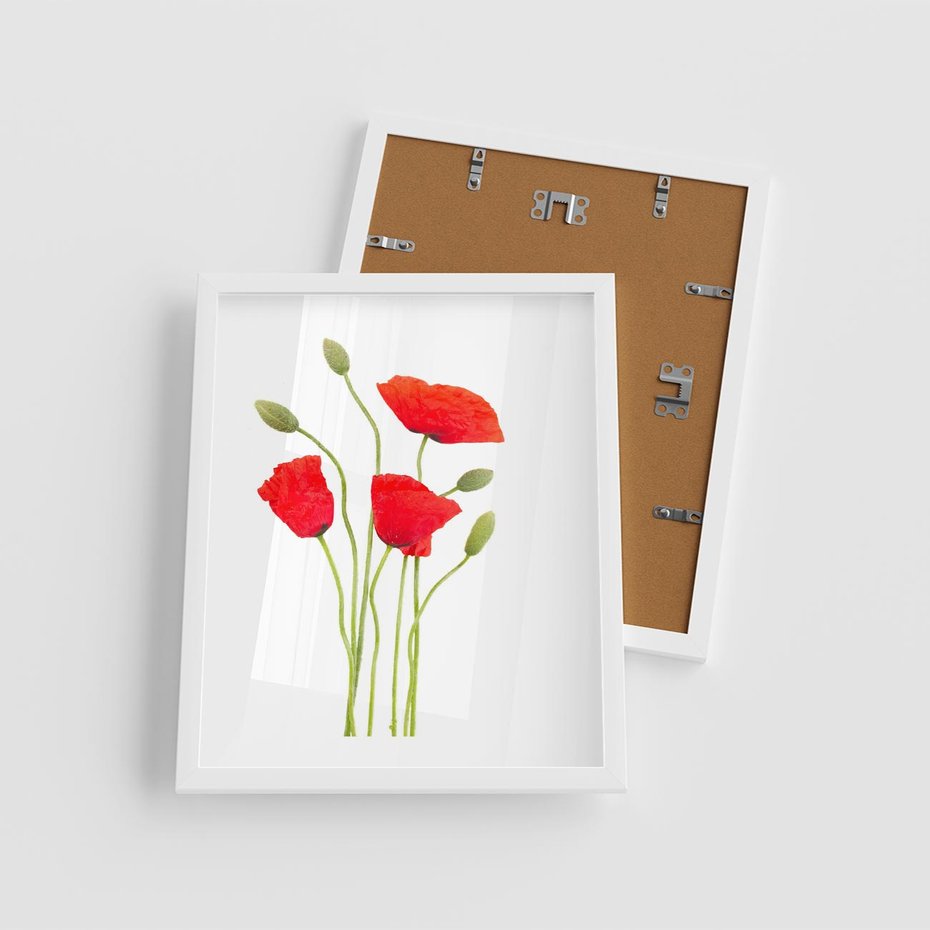 Plakat w ramie 40x50 - Pola maków w pełnym kolorze - maki, kwiaty - rama biała