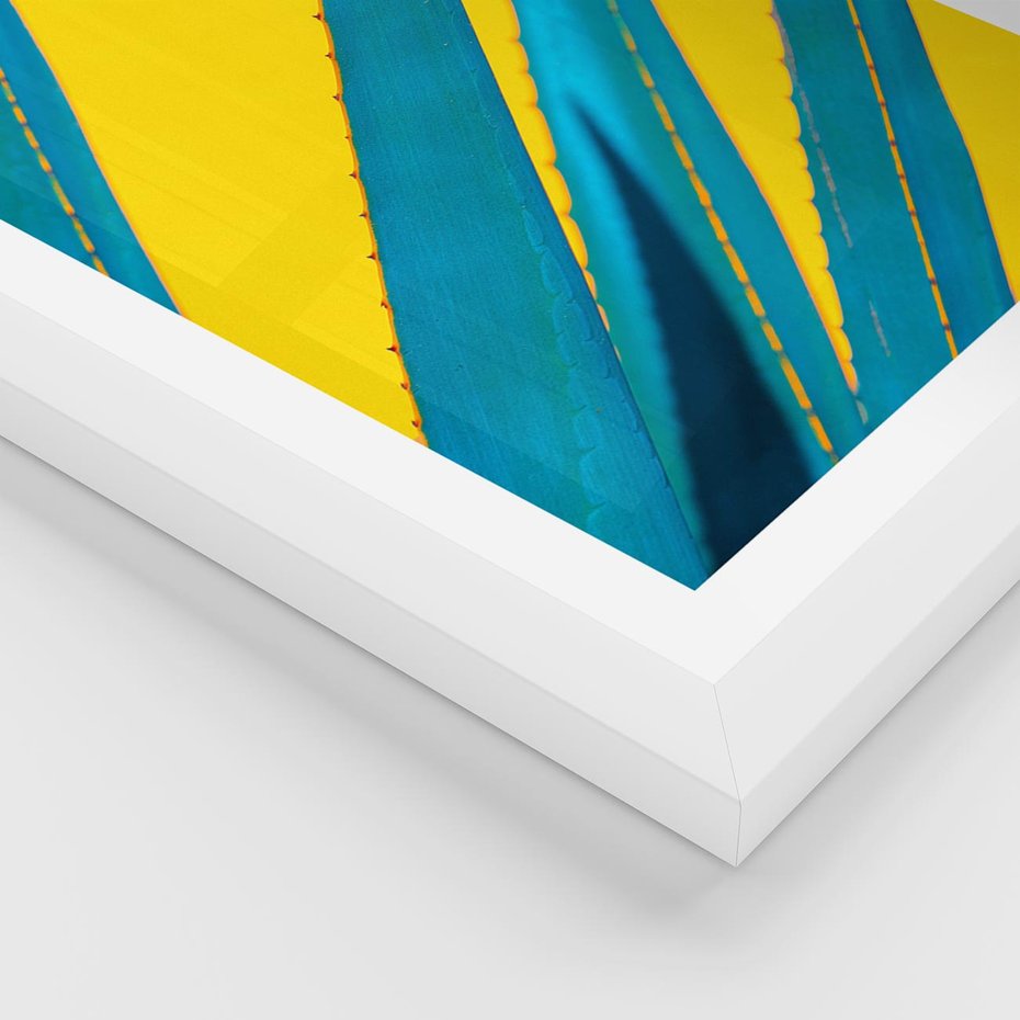 Plakat w ramie 30x40 - Świeżość Natury - aloes, liście - rama biała