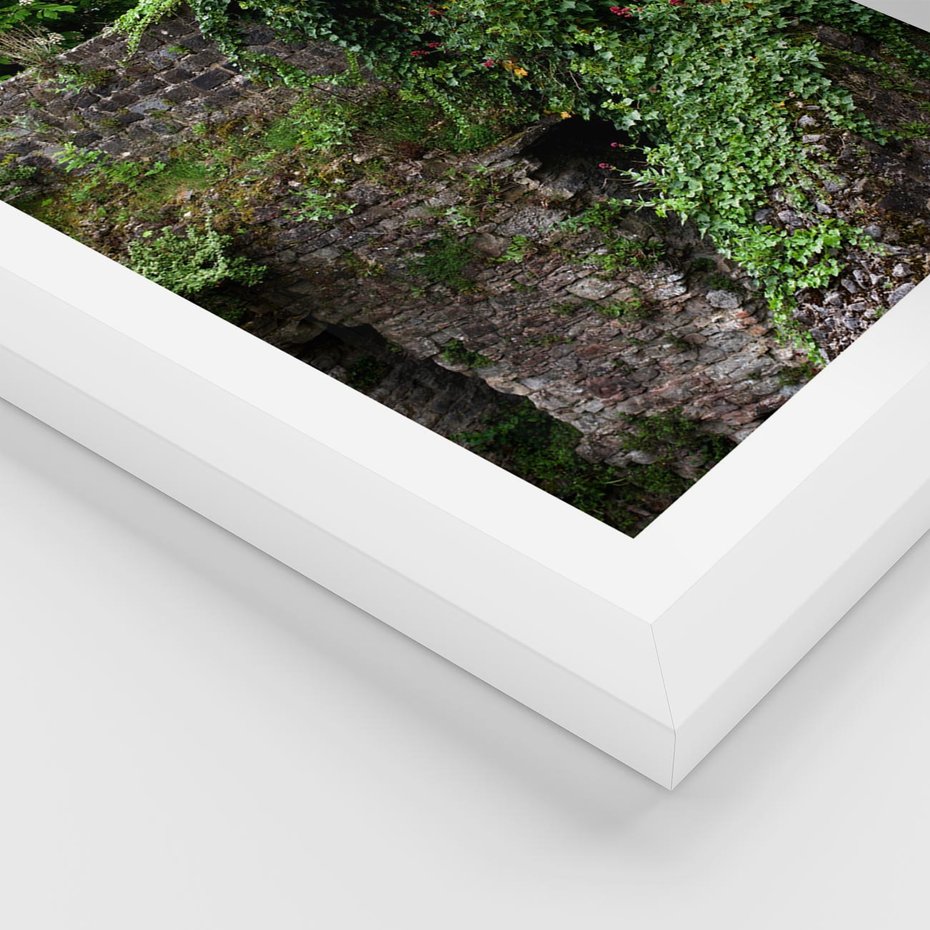 Plakat w ramie 50x70 - Żywiołowa Zieleń - mur, liście - rama biała