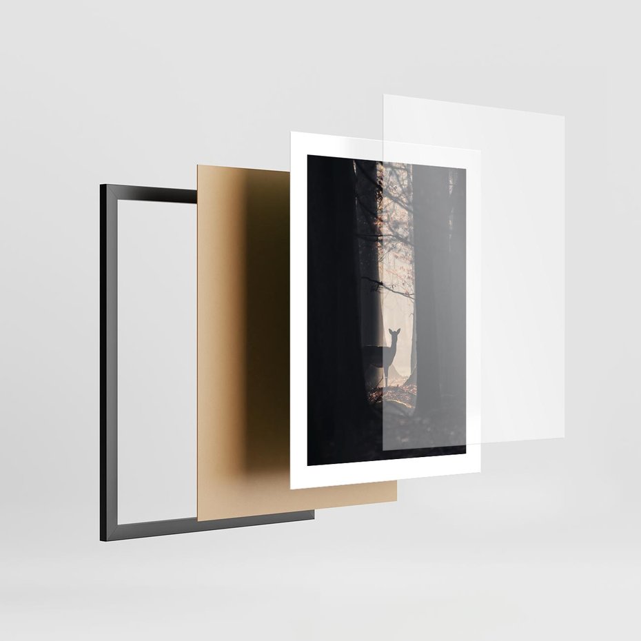 Plakat w ramie 30x40 - Sarnie Skoki - zdjęcie, klimatyczny las - rama czarna