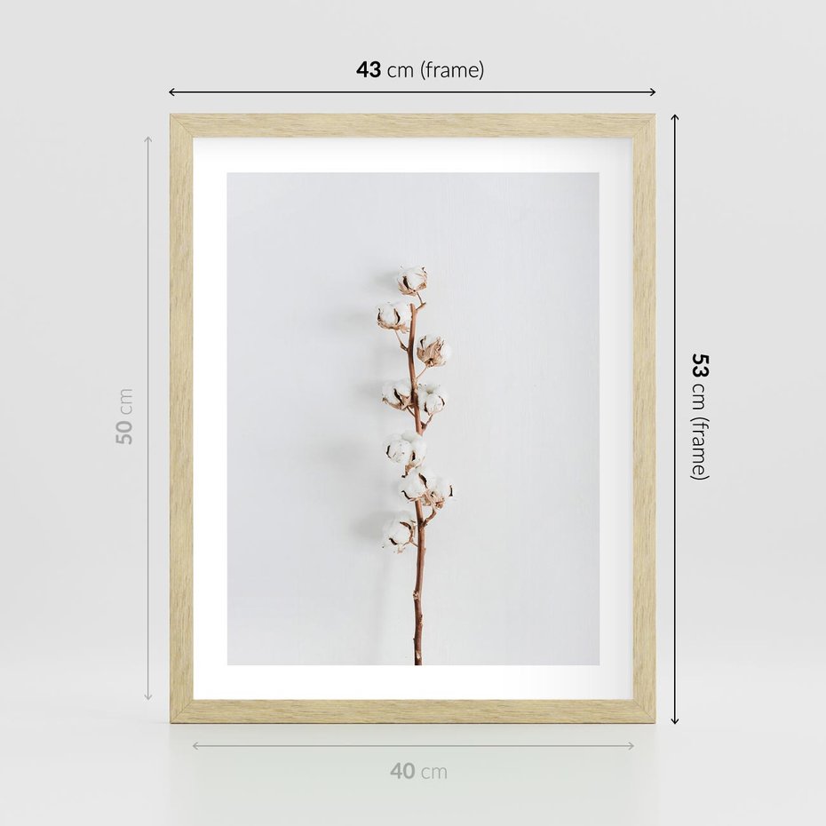 Plakat w ramie 40x50 - Minimalistyczna Gałązka Bawełny - bawełna, gałązka bawełny - rama drewno