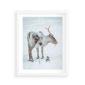 Plakat w ramie 40x50 - Magia Świąt - renifer na śniegu, śnieg - rama biała