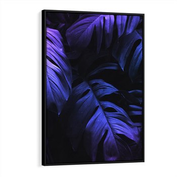 Obraz w ramie 70x100 - Mroczna Magia Dżungli - mroczna grafika, fioletowe liście monstery na czarnym tle - rama czarna