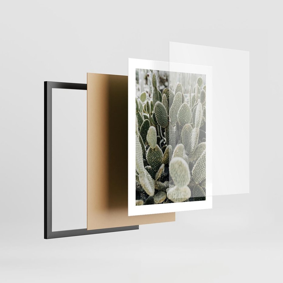 Plakat w ramie 30x40 - Kaktusowa Harmonia - kaktusy, fotografia - rama czarna