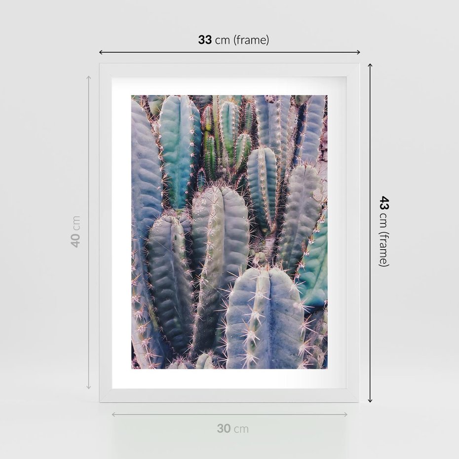 Plakat w ramie 30x40 - Kaktusowy Raj - kaktusy, dużo kaktusów - rama biała