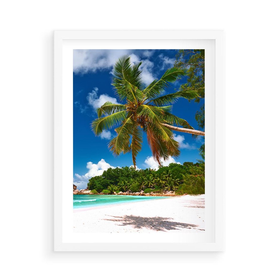 Plakat w ramie 50x70 - Oaza palm na plaży - palma, plaża - rama biała