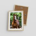 Plakat w ramie 30x40 - Portret Szlachetnego Konia - koń, portret - rama drewno