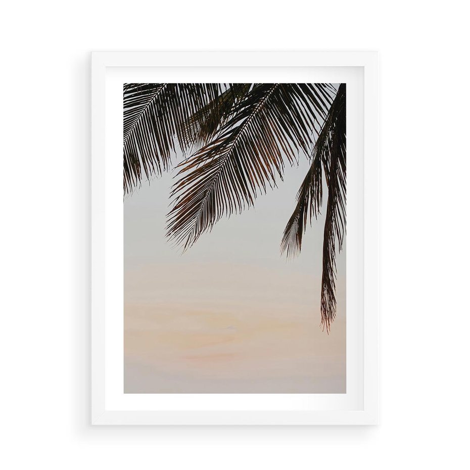 Plakat w ramie 50x70 - Tropikalna Harmonia - palmy na tle nieba - rama biała