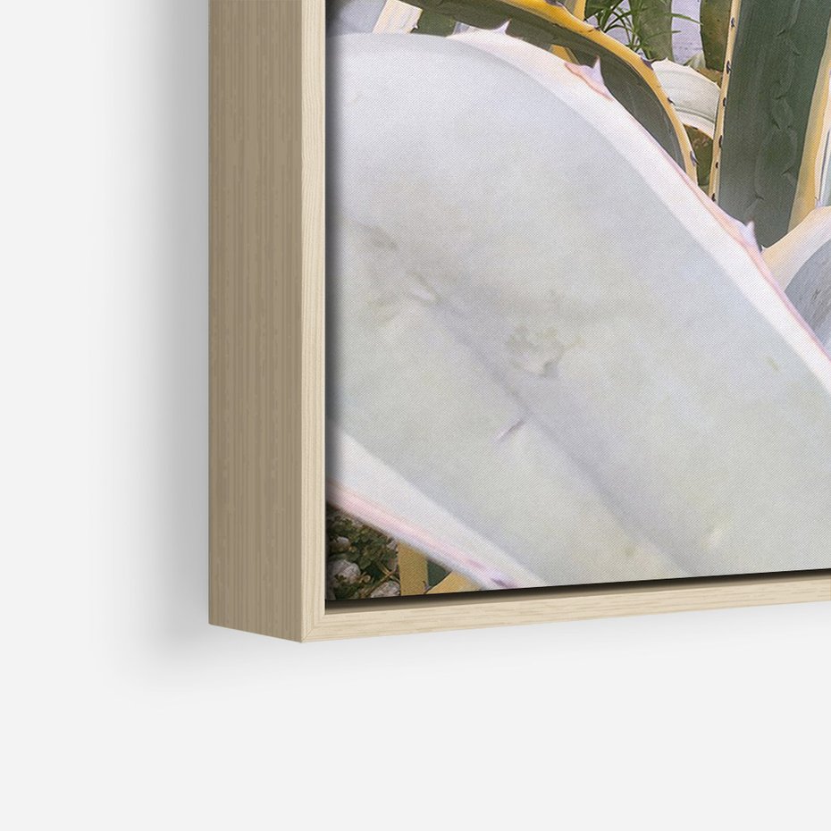 Obraz w ramie 80x120 - Sukulentowe liście - liście, sukulenty - rama drewno