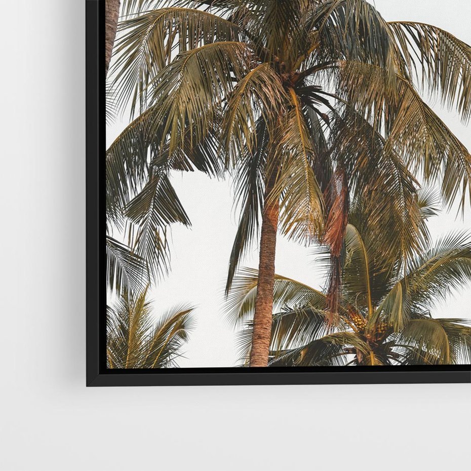Obraz w ramie 50x50 - Palmy - tęsknota za Hawajami - palmy, Hawaje - rama czarna