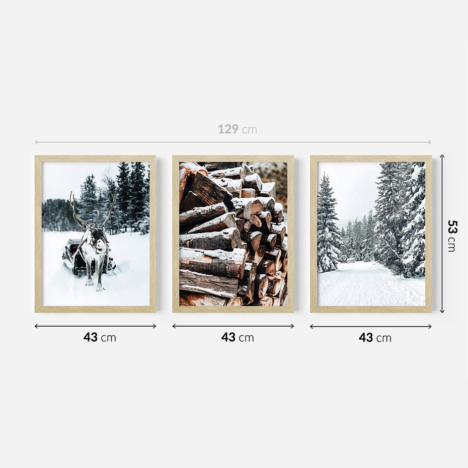 Zestaw obrazy w ramie 40x50 galeria - Zima, las, renifer, krajobraz - rama drewno