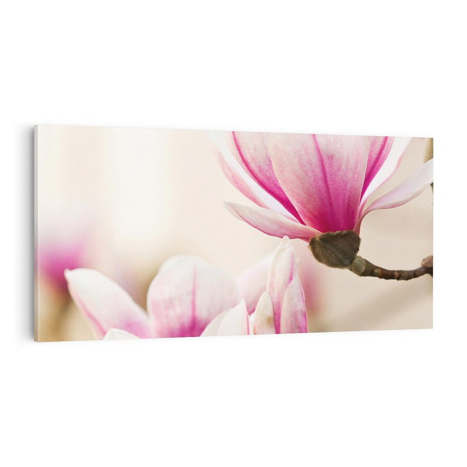 Obraz na płótnie 140x70 - Urok Magnolii - magnolie, kwiaty