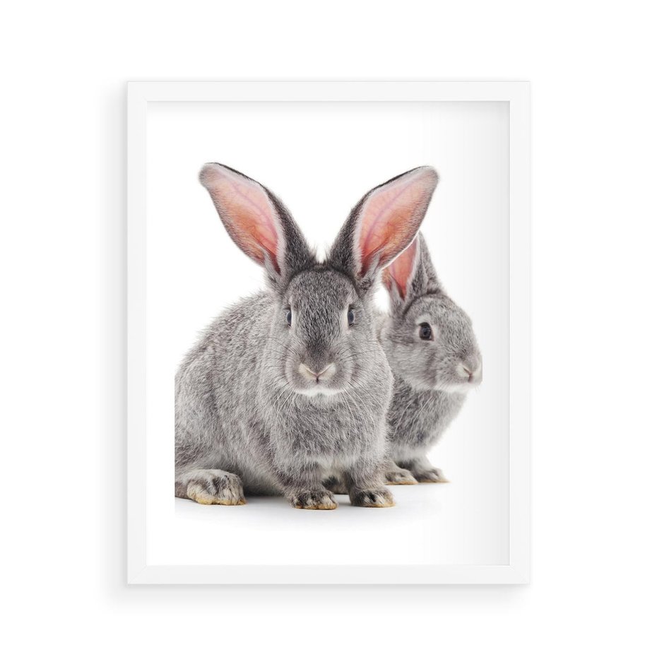 Plakat w ramie 40x50 - Uroczy królik wśród natury - królik, zając - rama biała