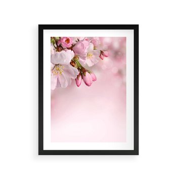 Plakat w ramie 40x50 - Kwitnąca wiśnia: delikatność natury - kwitnąca, wiśnia - rama czarna