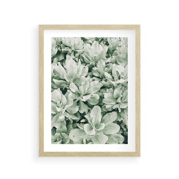 Plakat w ramie 30x40 - Liście w Jasnych Odcieniach Zielonego - liście, jasna zieleń fotografia - rama drewno