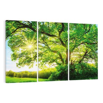 Obraz na płótnie 120x80 - Natura w pełnym rozkwicie - drzewo, niebo