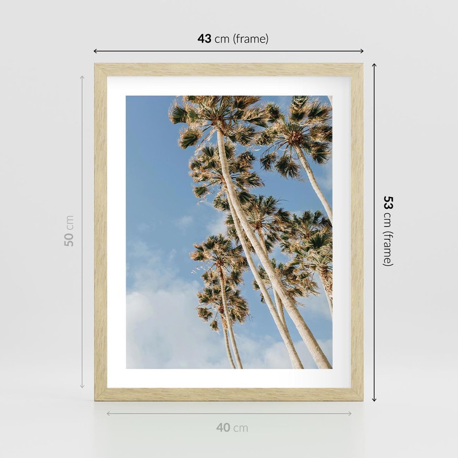 Plakat w ramie 40x50 - Pod Niebem Palmy - palmy na niebieskim niebie - rama drewno
