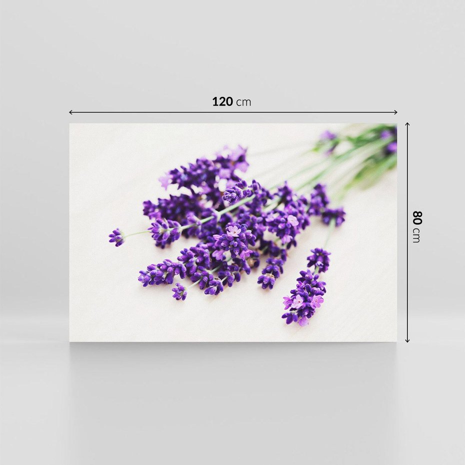 Obraz na płótnie 120x80 - Urok lawendowych kwiatów - lawenda, kwiaty