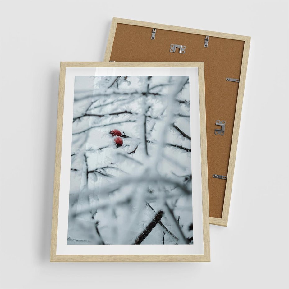 Plakat w ramie 50x70 - Zima w Detalu: Gałęzie ze Szronem i Śniegiem - śnieg, zima - rama drewno