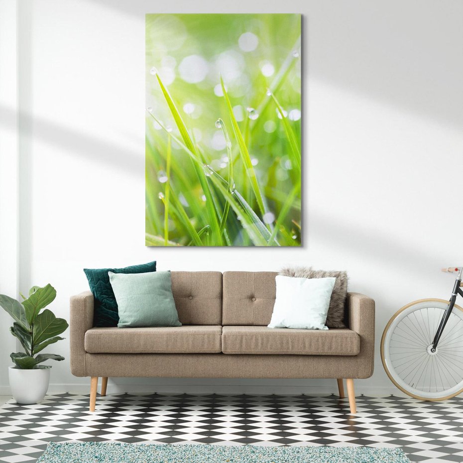 Obraz na płótnie 80x120 - Delikatna trawa pokryta rosą - trawa, rosa