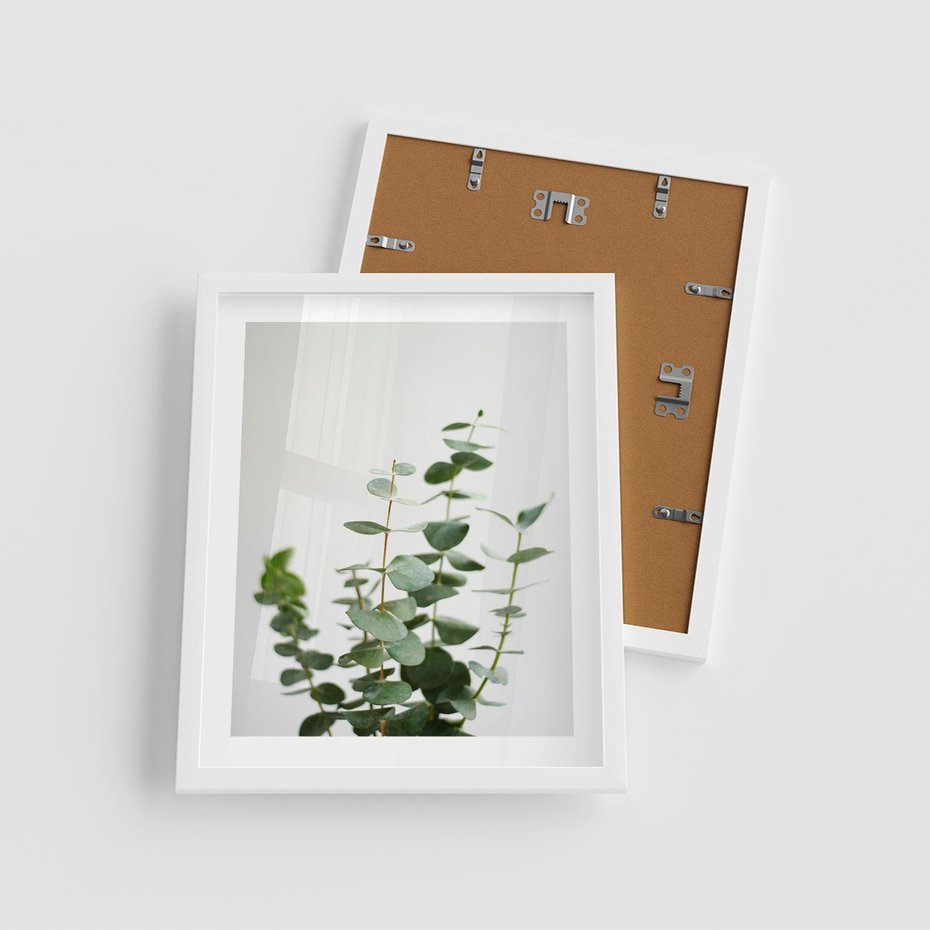 Plakat w ramie 40x50 - Żywa eukaliptusowa zieleń - eukaliptus, zielone - rama biała