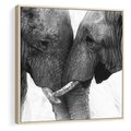 Obraz w ramie 80x80 - Spotkanie Mądrości - fotografia czarno biała, dwa słonie - rama drewno