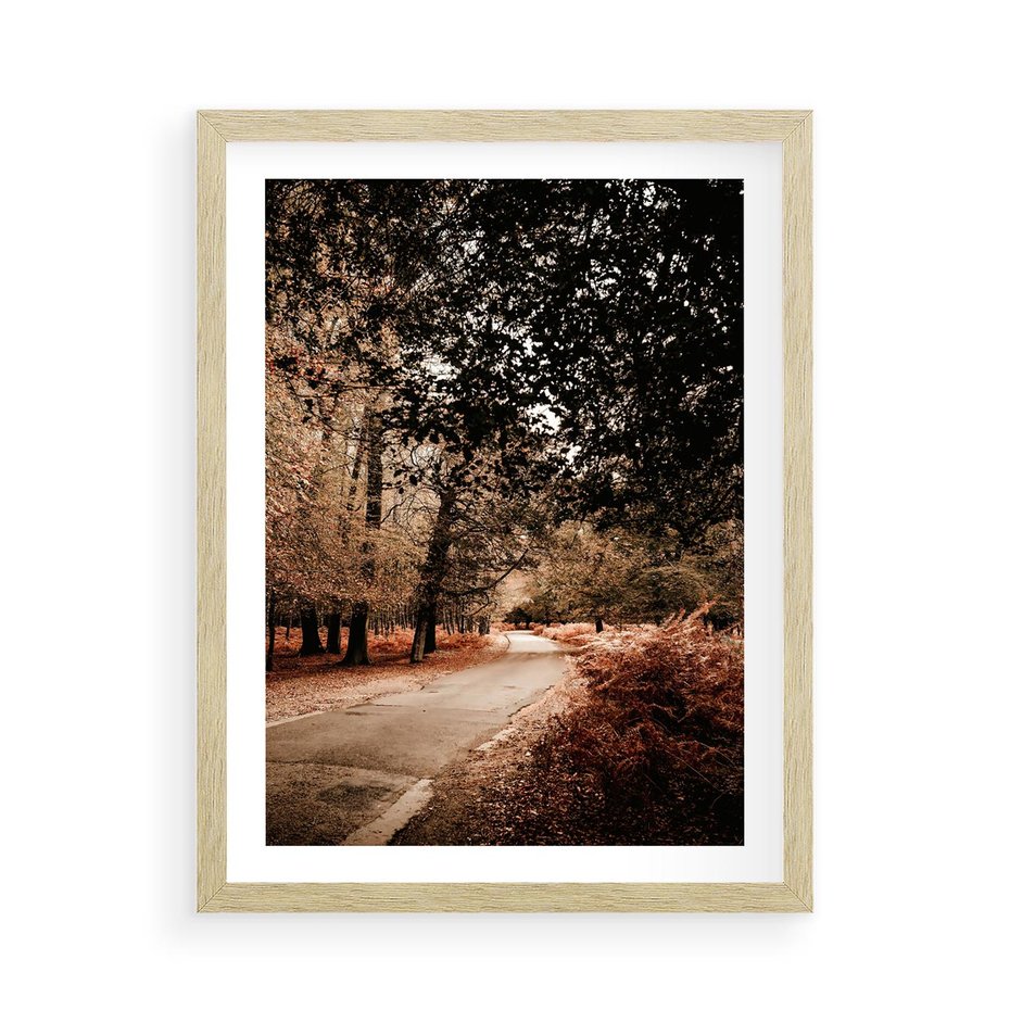 Plakat w ramie 50x70 - Magia Jesieni: Pejzaż Parku w Odcieniach Żółci - jesień, park - rama drewno