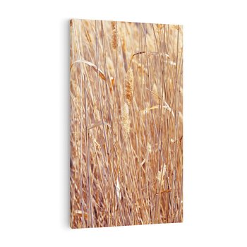 Obraz na płótnie 70x100 - Mistrzowskie suche trawy - suche, trawy