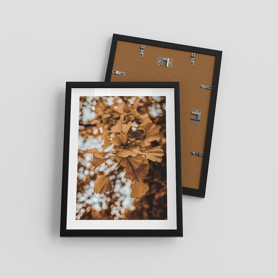 Plakat w ramie 30x40 - Nostalgiczny Miłorząb - miłorząb, liście - rama czarna