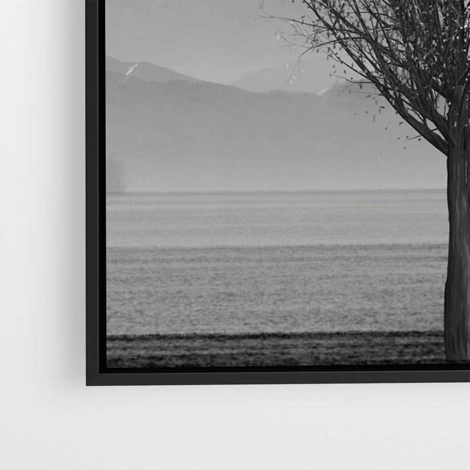 Obraz w ramie 50x70 - Samotne Drzewo - samotne drzewo w polu, czarno białe zdjęcie - rama czarna