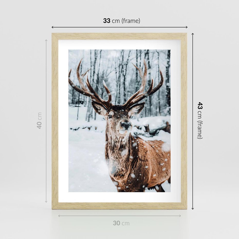 Plakat w ramie 30x40 - Jeleń na Zdjęciu pod Śniegiem - jeleń, zima - rama drewno