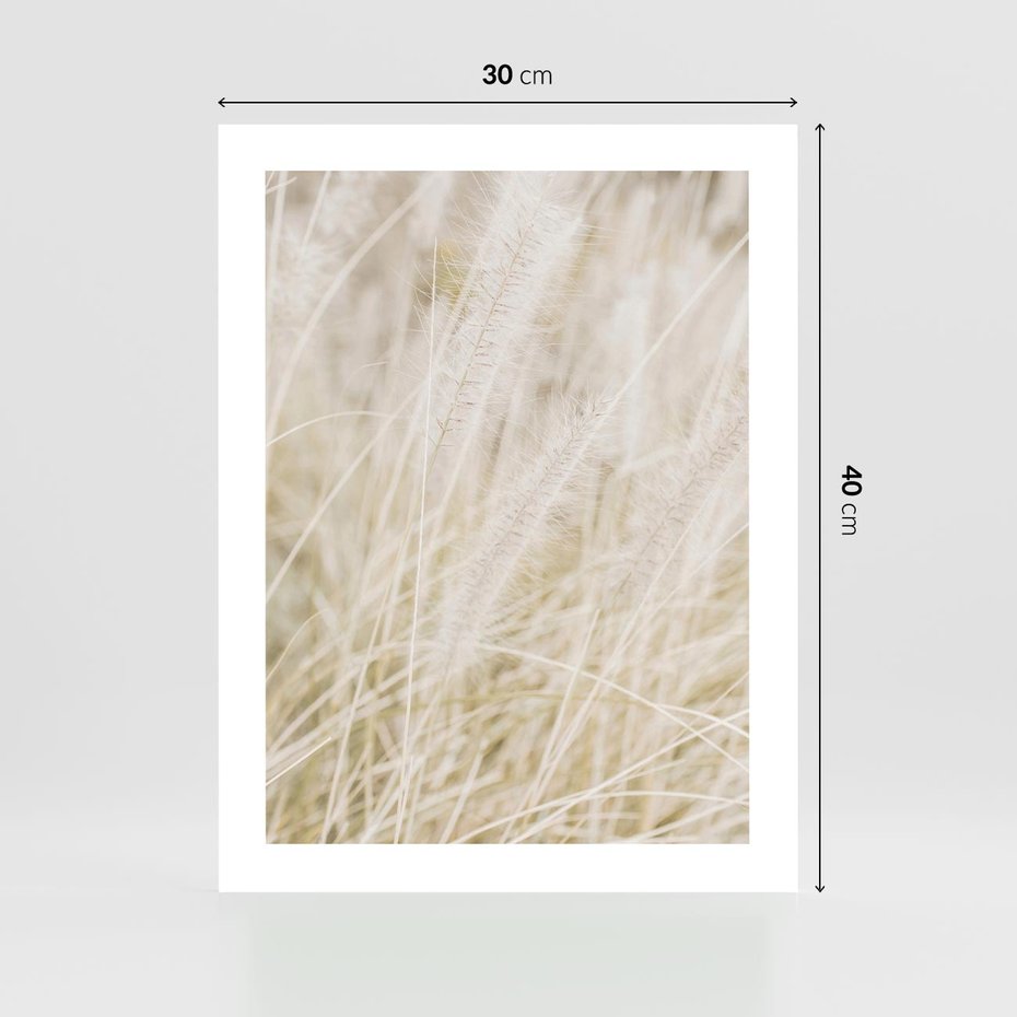 Plakat bez ramy 30x40 - Białe Trawy Pampas - suche trawy, białe trawy