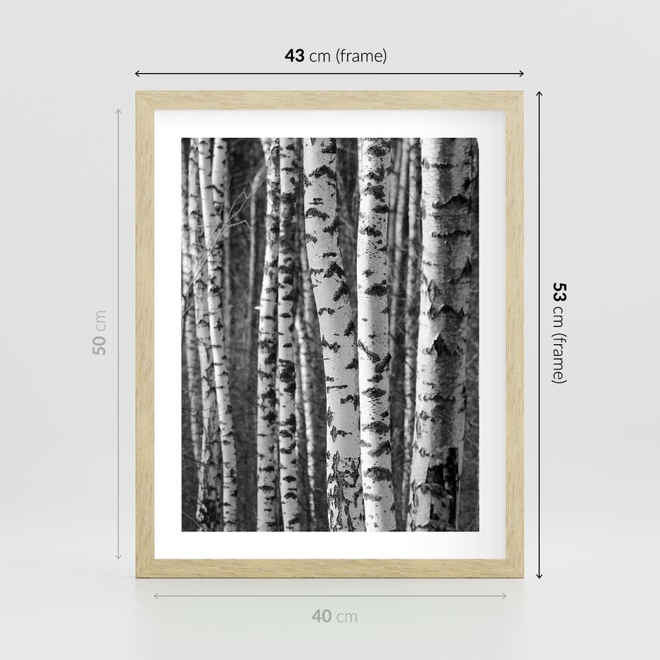 Plakat w ramie 40x50 - Kontrast Monochromatyczny - brzozy, czarno - rama drewno
