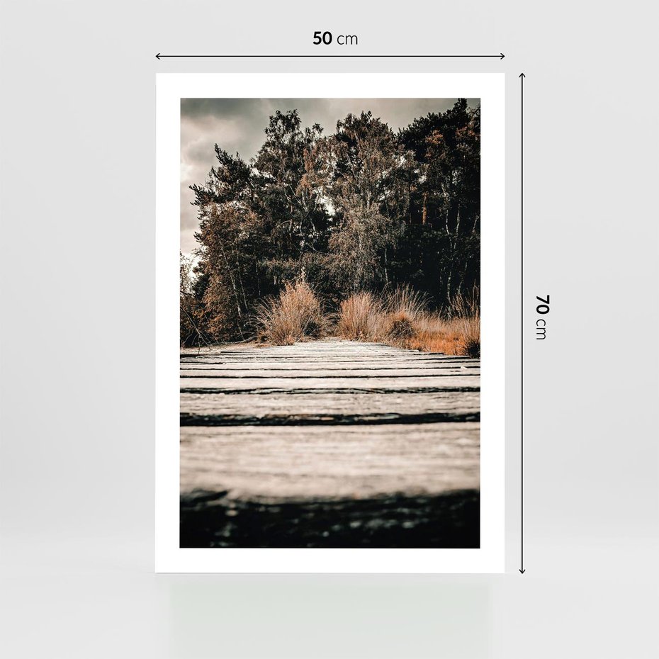 Plakat bez ramy 50x70 - Fotografia w Ciepłych Barwach - odcienie brązu, fotografia