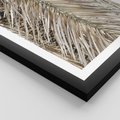 Plakat w ramie 30x40 - Boho Urok Palmy: Zbliżenie Natury - sucha palma, zbliżenie - rama czarna