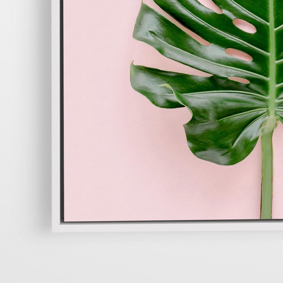 Obraz w ramie 80x80 - Egzotyczna Roślinność - liście, monstera - rama biała