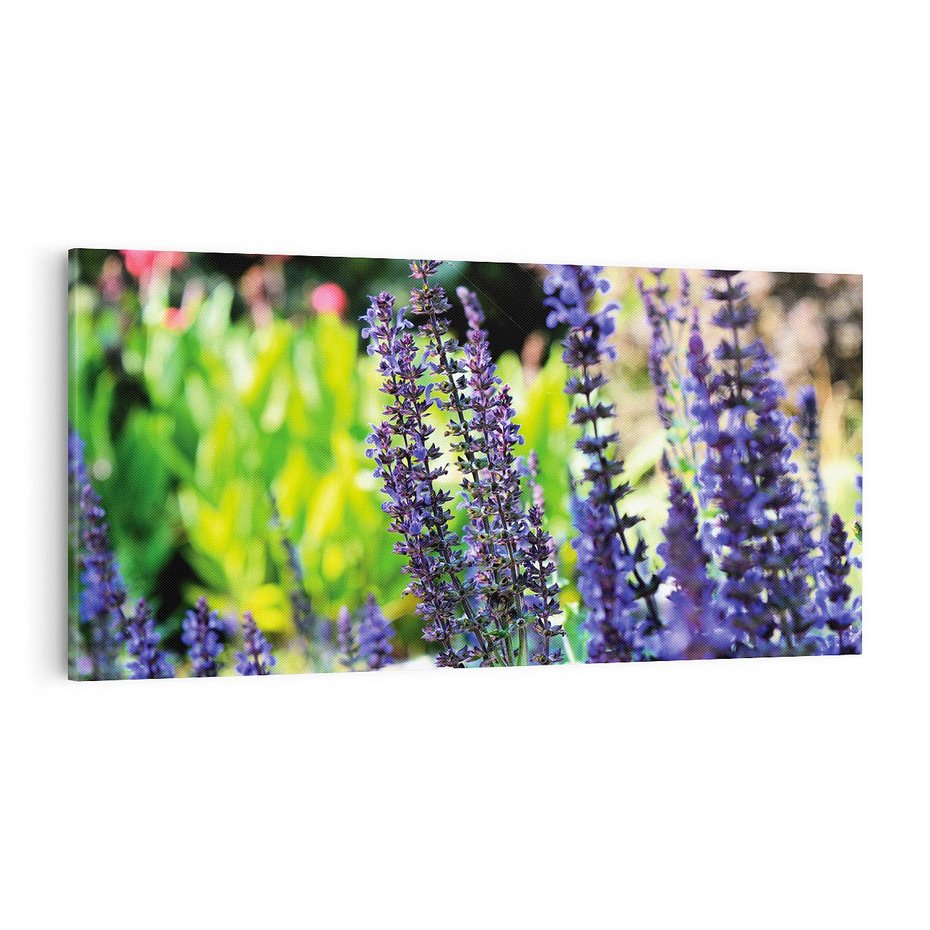 Obraz na płótnie 100x50 - Ogród Lawendowy - lawenda, kwiat