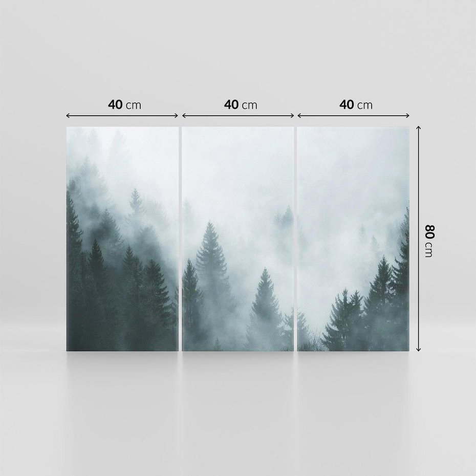 Obraz na płótnie 120x80 - Las w Mgłe - las, we