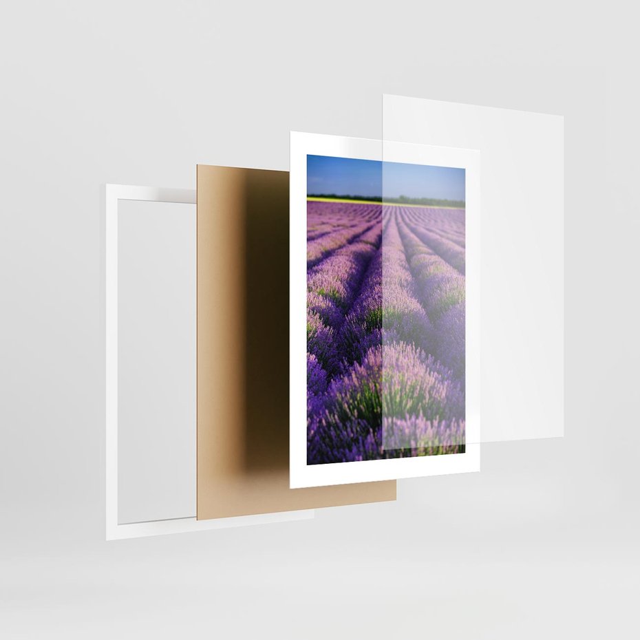 Plakat w ramie 30x40 - Malownicze Pole Lawendy - lawenda, pole - rama biała