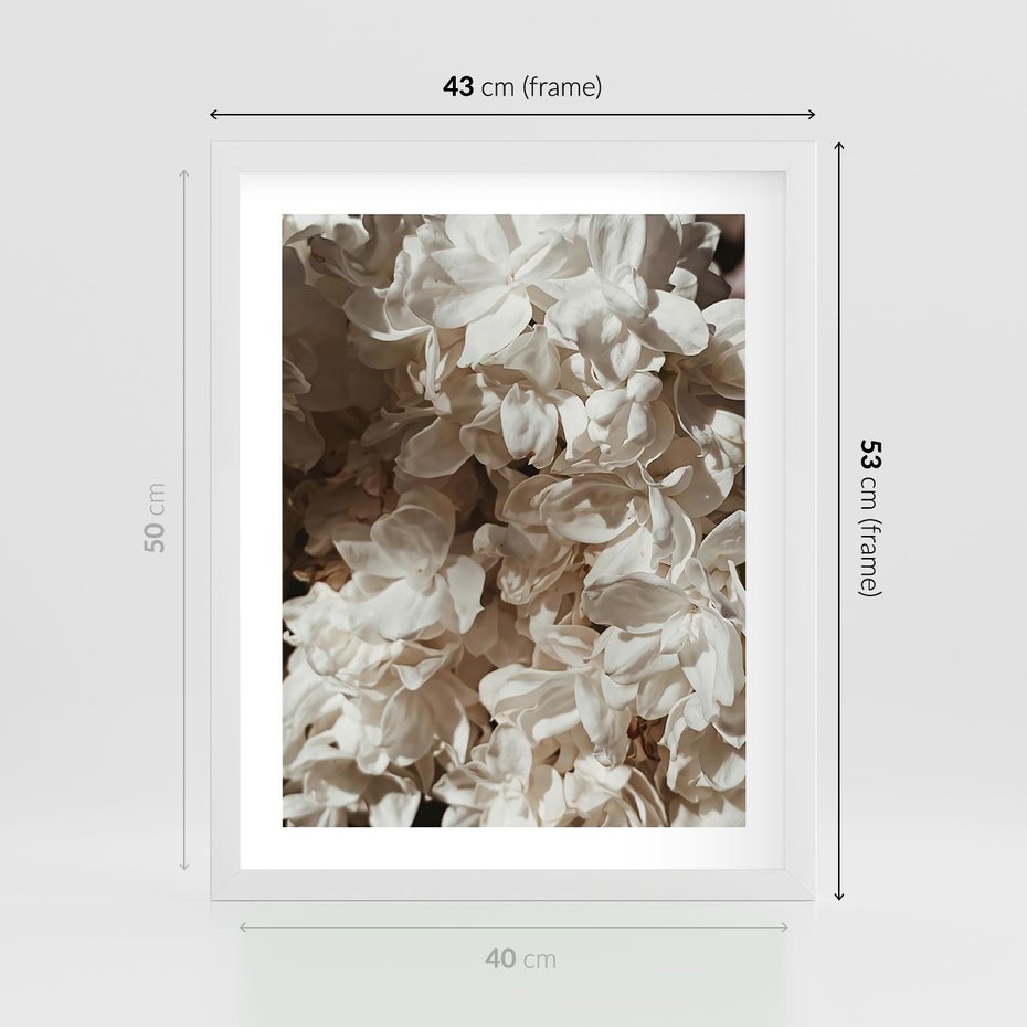 Plakat w ramie 40x50 - Płatki w Detalu - białe kwiaty, zbliżenie - rama biała