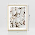Plakat w ramie 30x40 - Białe Muszle - białe muszle, ujęcie z góry - rama drewno