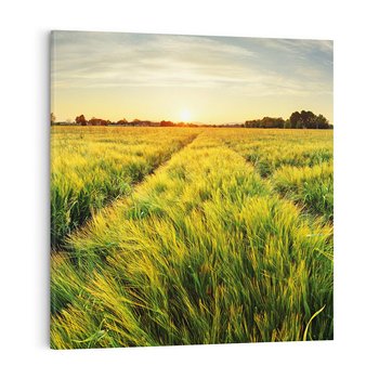 Obraz na płótnie 80x80 - Idylliczna łąka - łąka, natura