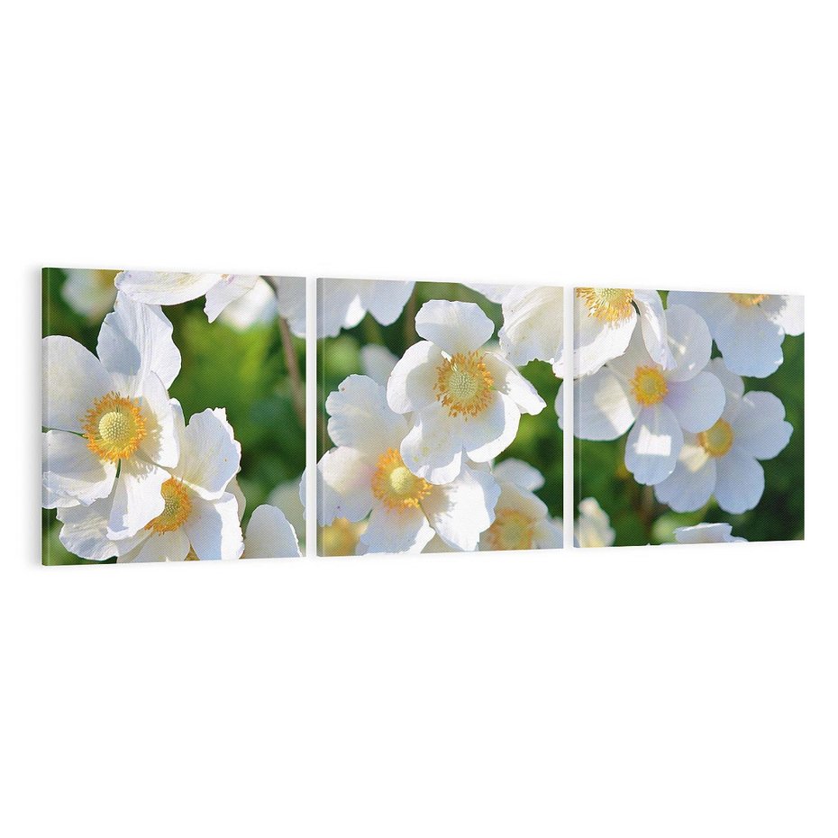 Obraz na płótnie 120x40 - Kwiatowy Raj - kwiat, kwiaty