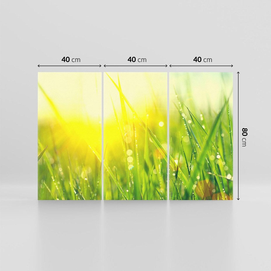 Obraz na płótnie 120x80 - Piękno Poranka - łąka, trawa