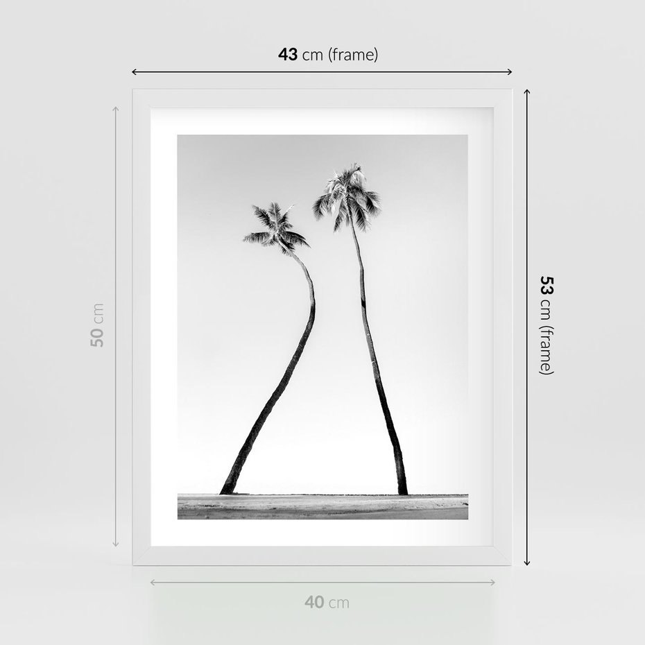 Plakat w ramie 40x50 - Samotne Palmy - czarno biała fotografia, dwie samotne palmy - rama biała