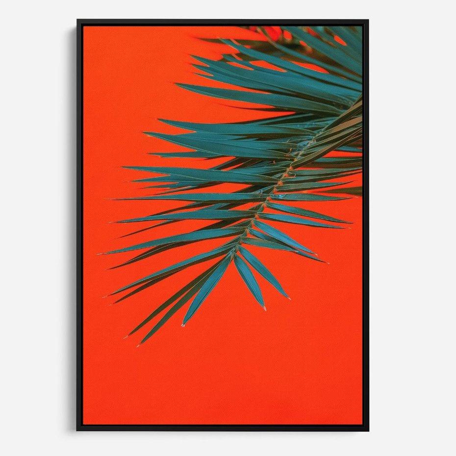 Obraz w ramie 50x70 - Egzotyczny Urok - liście, palma - rama czarna