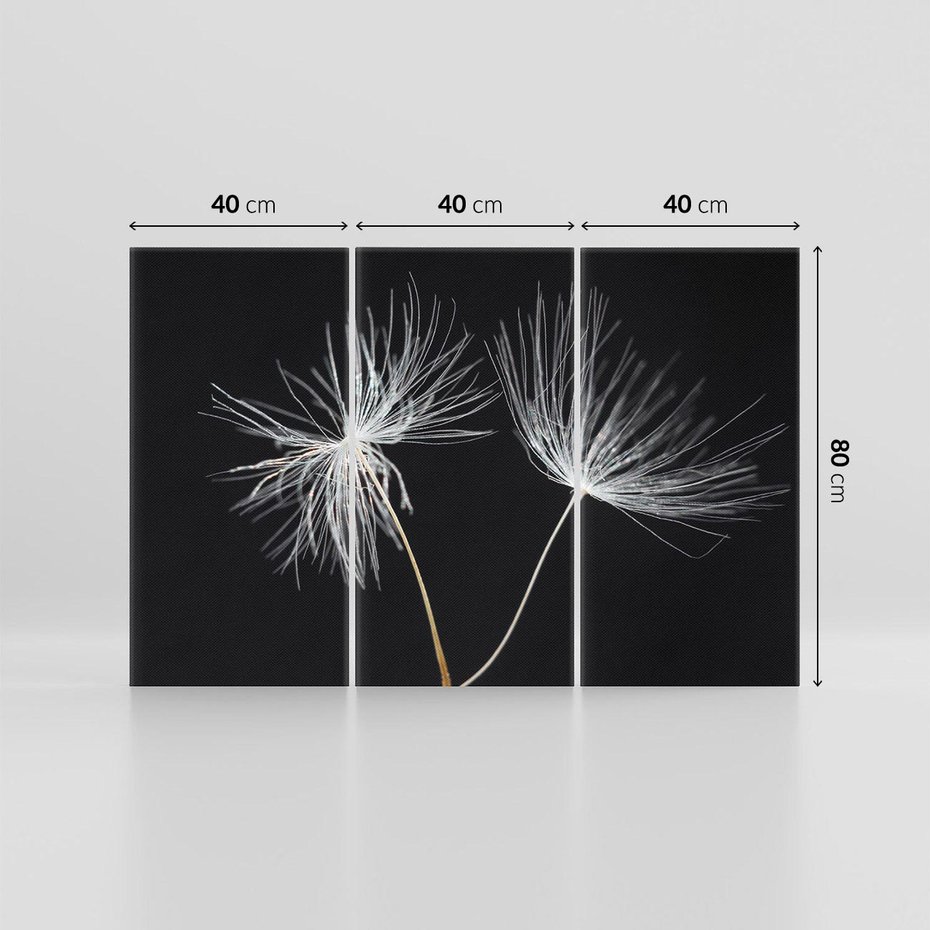 Obraz na płótnie 120x80 - Delikatność Wiatru - dmuchawce, makro