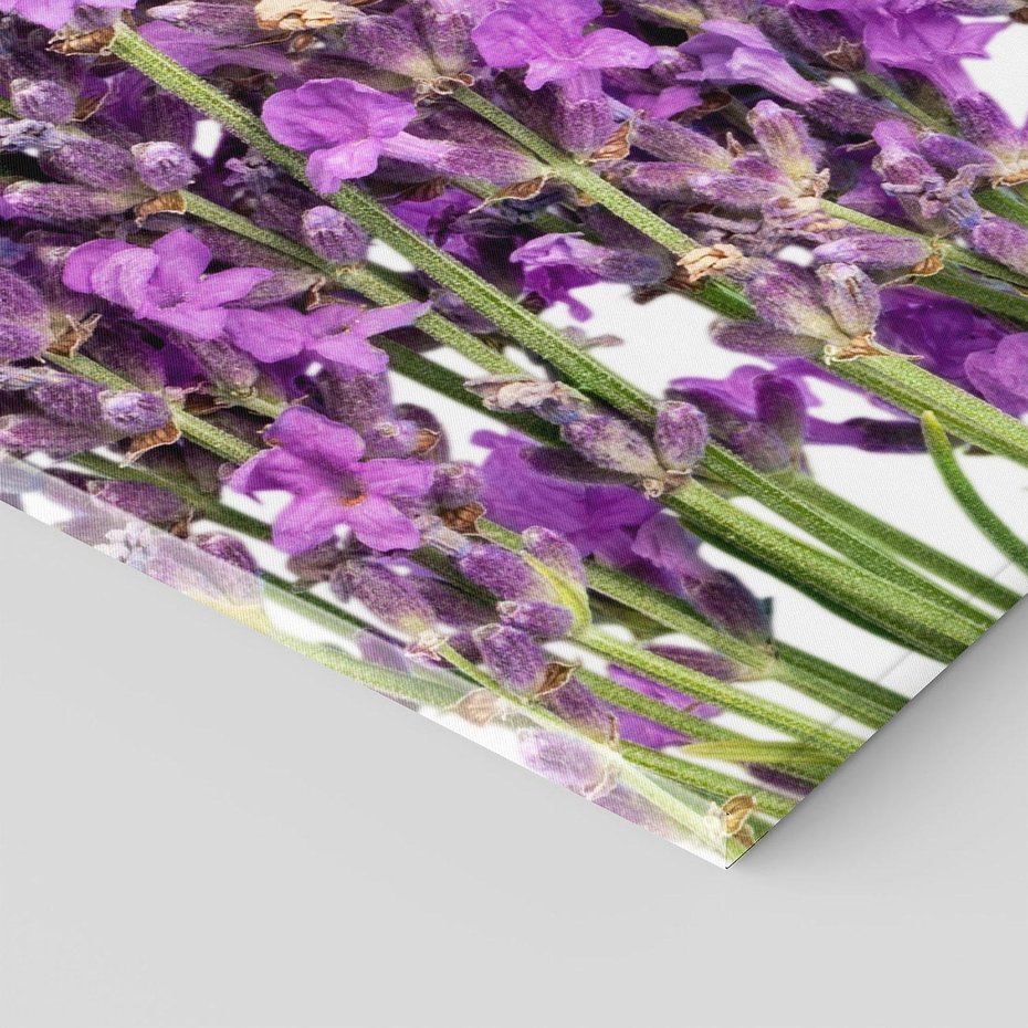 Obraz na płótnie 70x50 - Pola lawendy w pełnym rozkwicie - lawenda, kwiaty