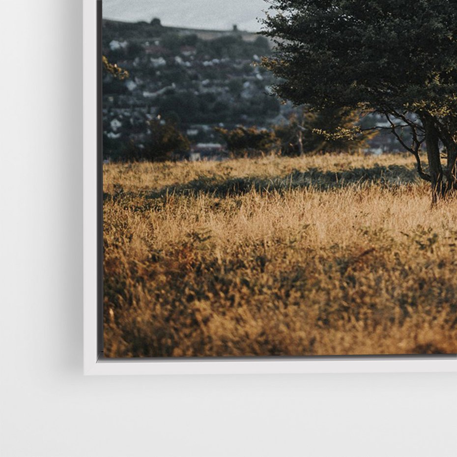 Obraz w ramie 80x120 - Siła Natury - drzewo, pejzaż - rama biała