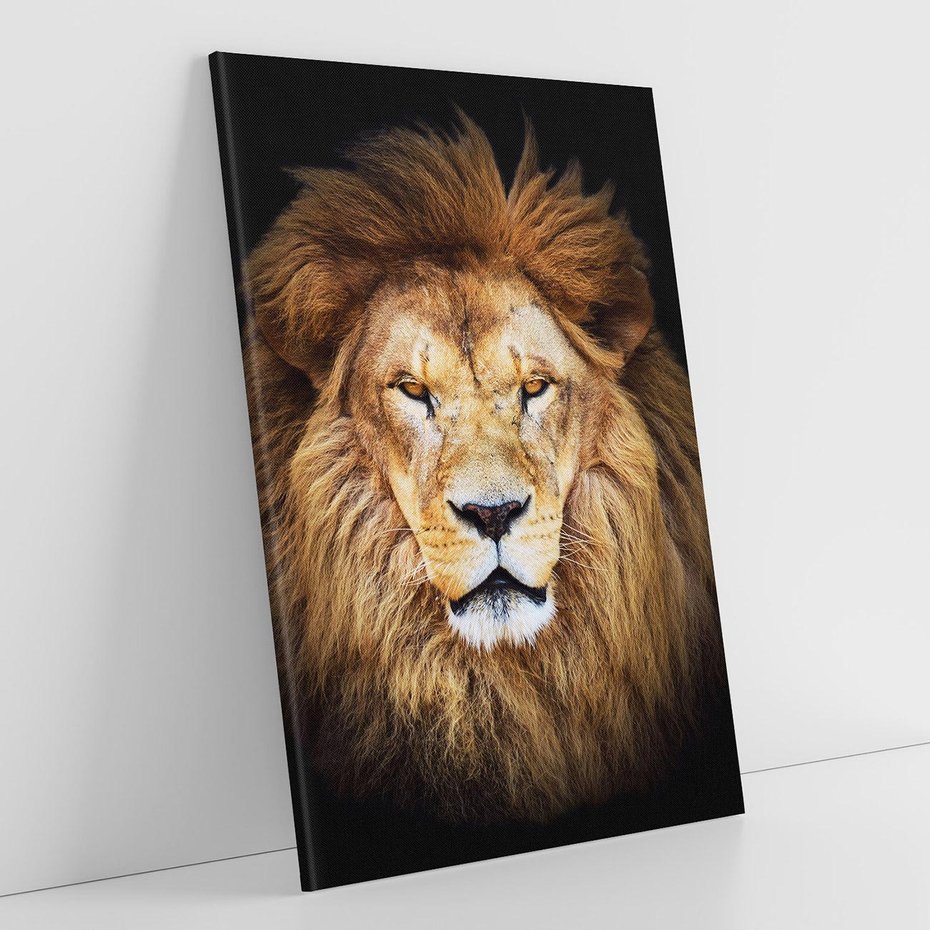 Obraz na płótnie 70x100 - Król zwierząt w majestatycznym stylu - lew, król
